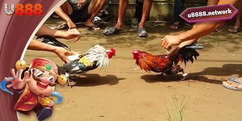 Tỷ lệ trả thưởng quá hấp dẫn để nhà cái giữ chân người chơi quay lại 